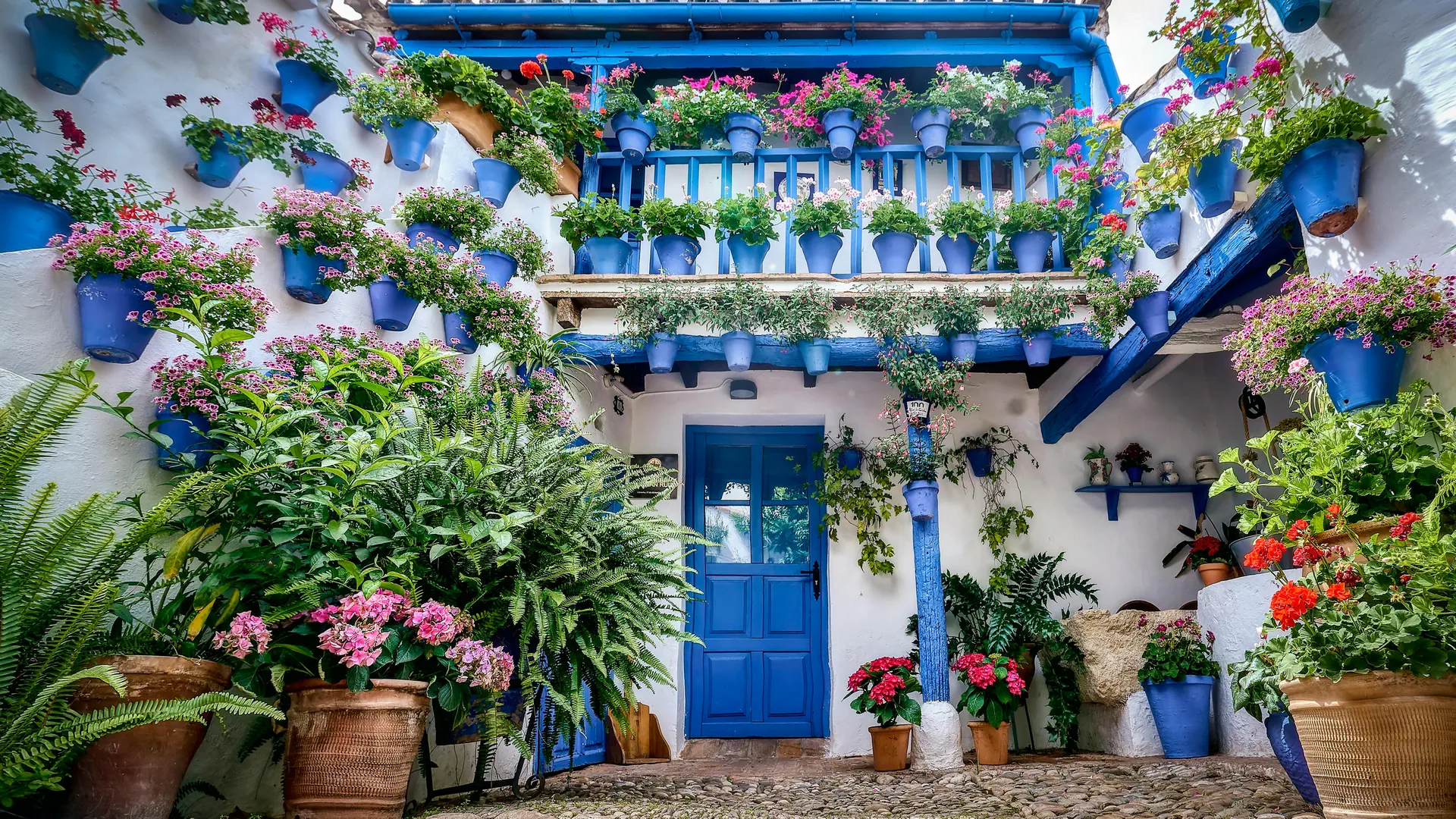 Patio andaluz encalado con flores, madera y macetas azules en Córdoba