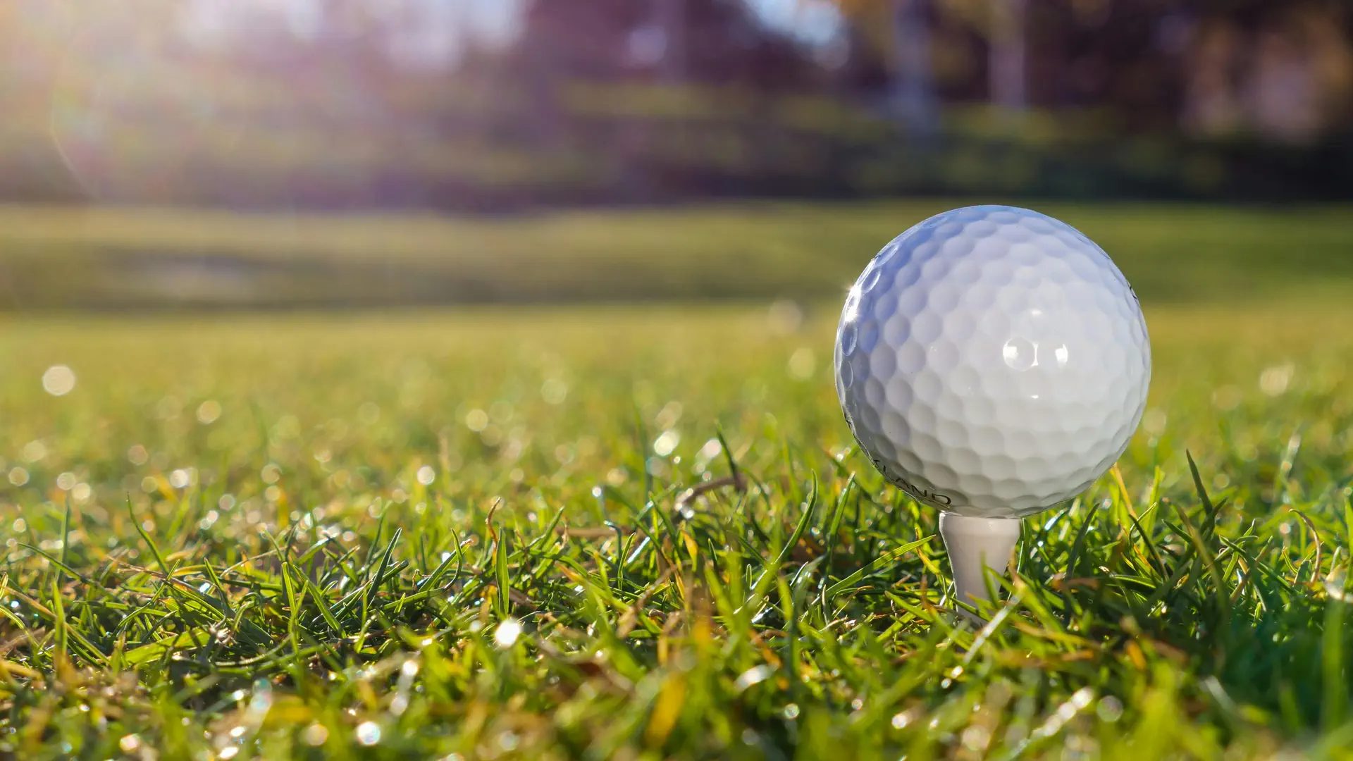 Close-up of bright green fairway grass used as the hero background for luxury golf holidays.