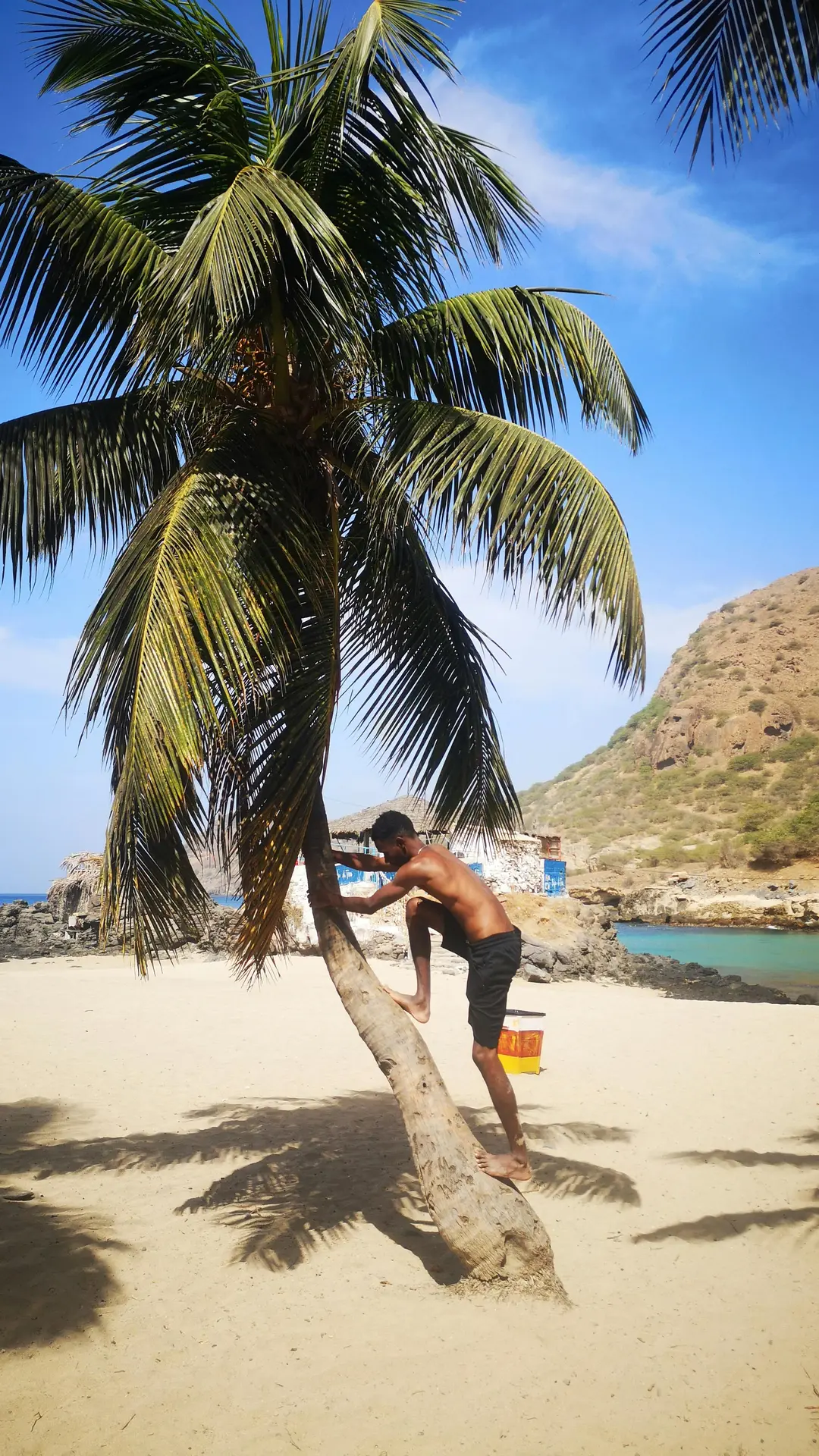 Joven subiendo a una palmera en playa de Tarrafal, Cabo Verde — paisaje costero exótico por Sandro Lopes Art (Pexels)